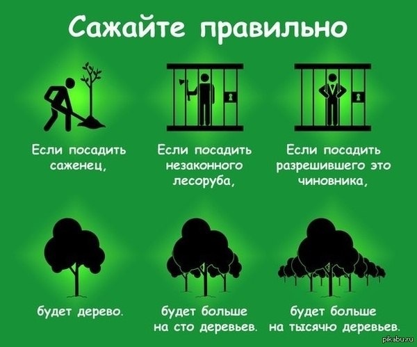Кракен сайт в тор браузере